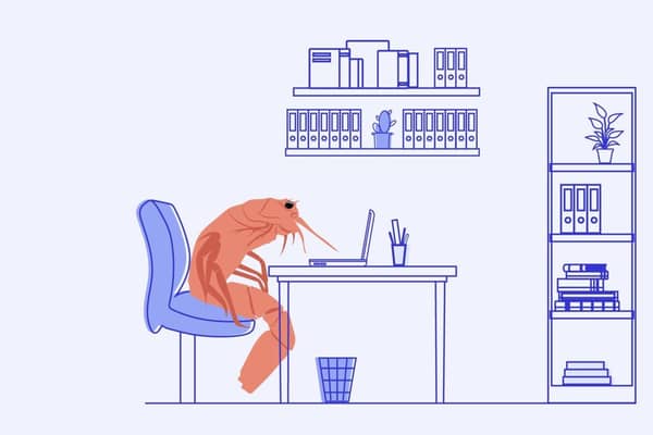 A prawn sat at a desk, hunched over, illustrating bad posture.