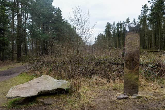 The metal monolith which has appeared in Lady Canning's Plantation in Sheffield. Picture: Dean Atkins