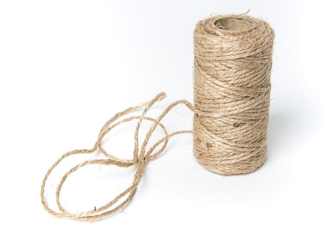 String can pose a danger to your dog if eaten (Photo: Shutterstock)