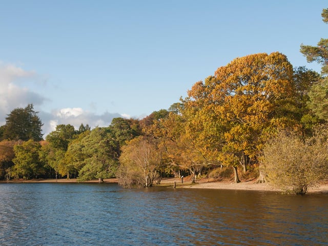 Tom Stewart-Moore for Knight Frank said: “To be able to build your own house on your own private island but yet in a very accessible and beautiful part of the country will be a dream for many.”