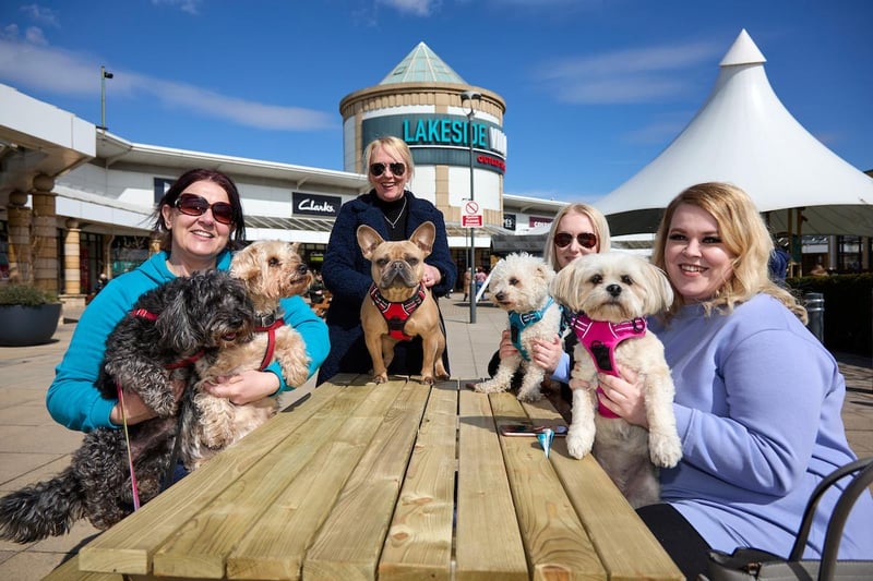Lakeside Village customers enjoying a sit down in the sun with their four-legged friends earlier this year.
