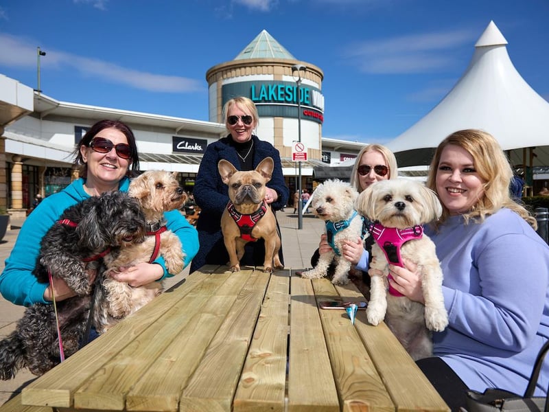 Lakeside Village customers enjoying a sit down in the sun with their four-legged friends earlier this year.