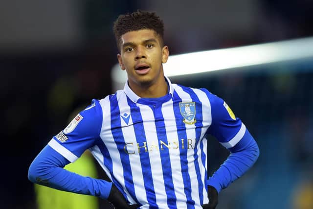 Sheffield Wednesday new boy Tyreece John-Jules is facing an extended period on the sidelines.