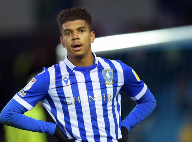 Sheffield Wednesday new boy Tyreece John-Jules is facing an extended period on the sidelines.