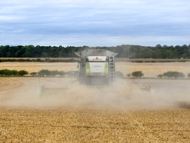 Wheat harvest at Wheatrig Farm, Longniddry.