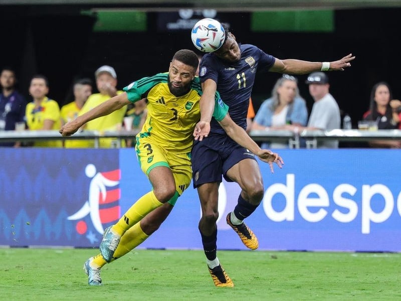 Moved to Fulham for £8m four years ago, but the 32-year-old is without a club after mixed reviews in League One for Charlton last season. The Jamaican international did play international football in the Copa America and World Cup qualifiers last summer.
