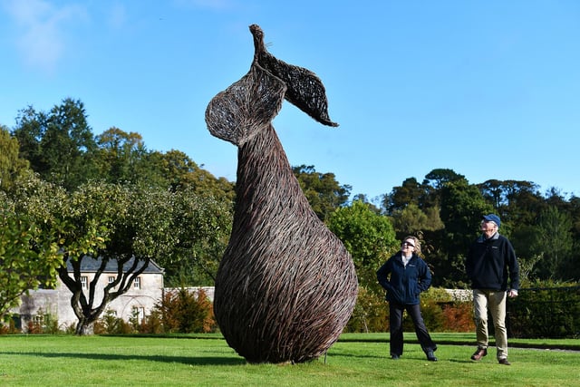 In the newly replanted orchard, a giant willow pear. Designed by the Galloway-based artist Trevor Leat
The walled garden at Culzean Castle is home to three new willow sculptures. The sculptures celebrate the garden as a productive space that generates a wide variety of fruit and vegetables, which are both sold and used in the café on the estate