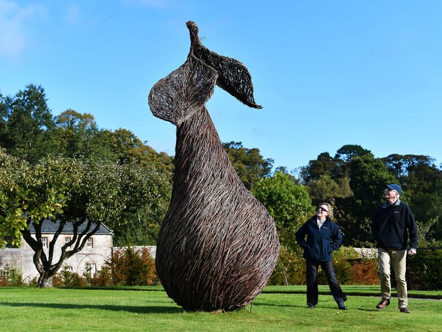In the newly replanted orchard, a giant willow pear. Designed by the Galloway-based artist Trevor Leat
The walled garden at Culzean Castle is home to three new willow sculptures. The sculptures celebrate the garden as a productive space that generates a wide variety of fruit and vegetables, which are both sold and used in the café on the estate