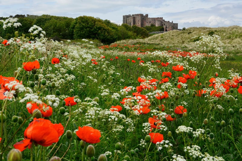 The castle is awe-inspiring from most angles but on the south side of the village drivers can park up and admire the views through the dunes, with poppies in bloom in the summer.