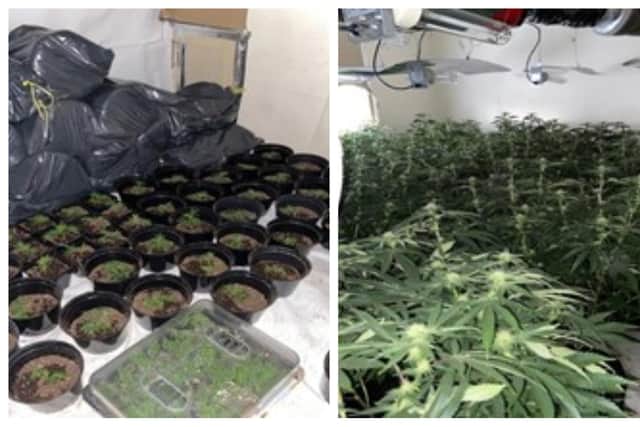 A cannabis farm on Sheffield Road in Tinsley, Sheffield, where police said they found plants worth an estimated £1 million