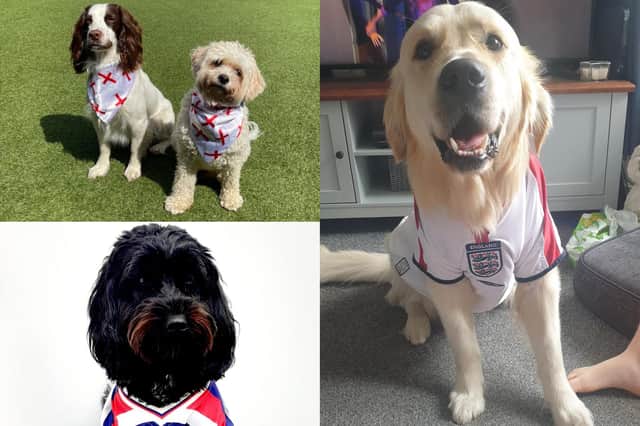 Creatures great and small show their support for England ahead of the quarter-finals this weekend.