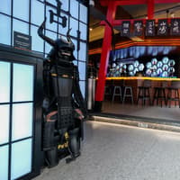 Roof terrace plan for well known restaurant on Sheffield city centre party street