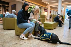 Guide dog puppy Phoebe learning settling at Meadowhall