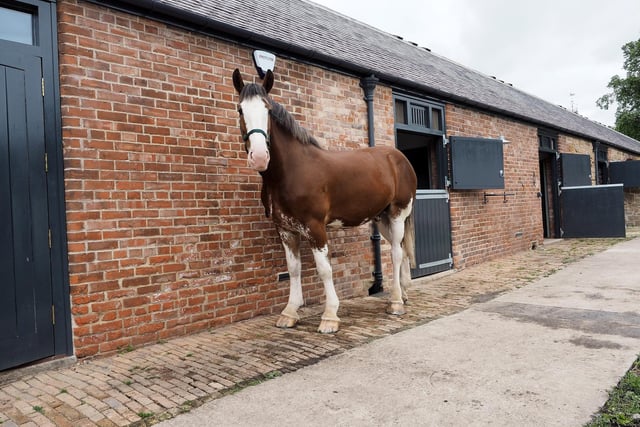 The estate's former stud farm has been renovated to become the new base for Northumbria Police's mounted section.