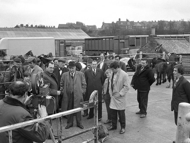BBC camera crews visit one of the fortnightly horse sales in 1970 - do you remember the cameras being there?