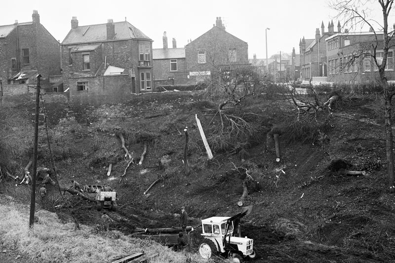 Tree Felling at Burn Park in December 1972. It was part of a scheme to widen and improve New Durham Road, at a cost of nearly £400,000.