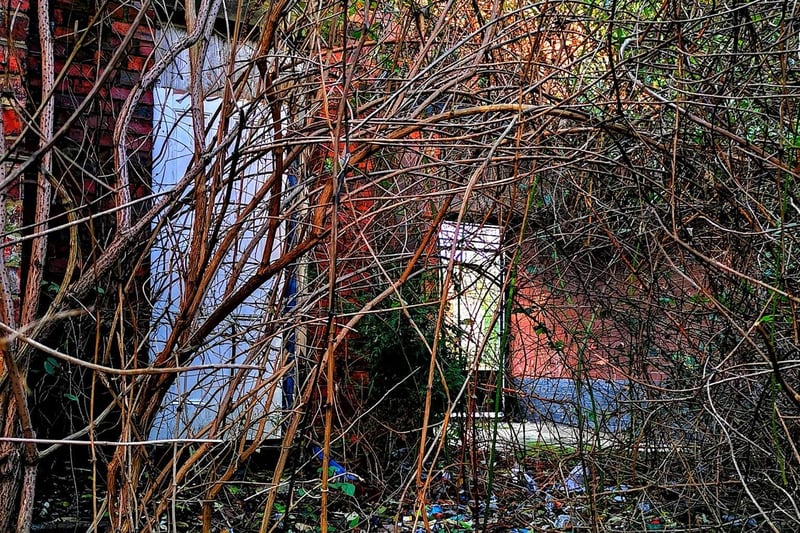Nature is slowly reclaiming the abandoned properties.