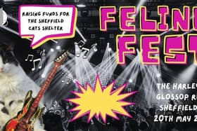 Feline Fest is raising funds for The Sheffield Cats Shelter at The Harley this weekend
