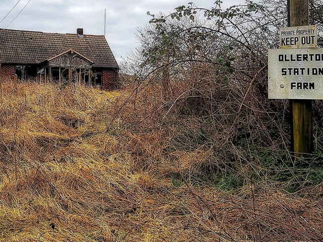 The site is heavily overgrown.