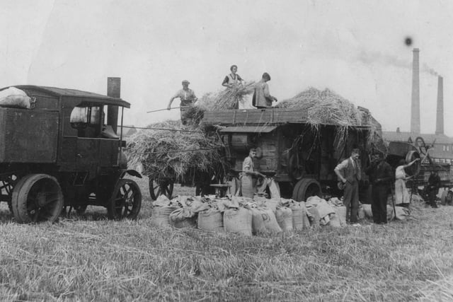 Threshing the corn with a steam driven machine in August 1935.