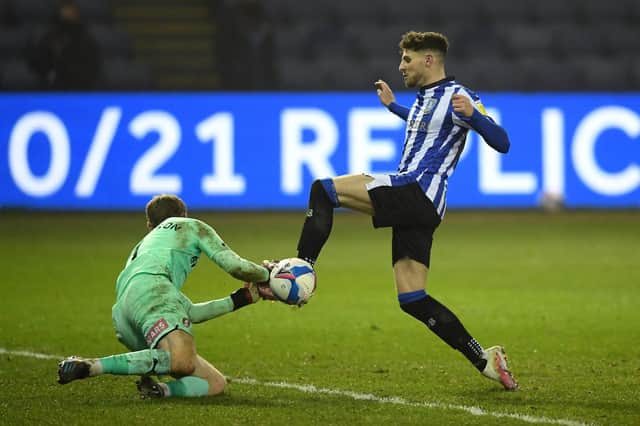 Sheffield Wednesday scored a late equaliser against Rotherham United. (Photo by Ross Kinnaird/Getty Images)
