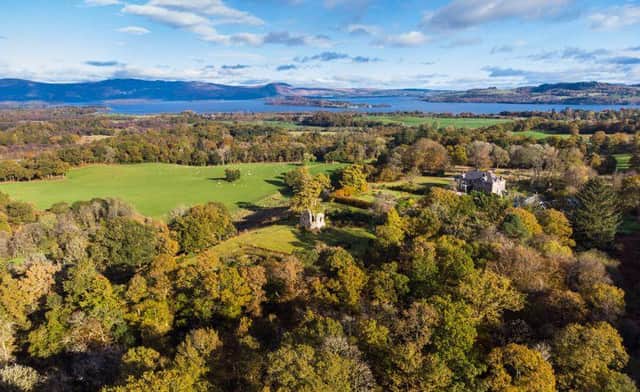 Aerial view of Bannachra Estate, showing ruined castle and Loch Lomond in the background.