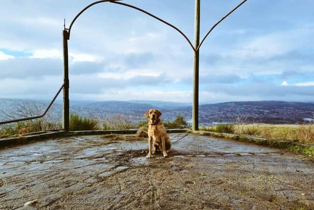 A photo, taken by Dog Friendly Sheffield, at the Parkwood Springs viewing platform where the monolith stood.