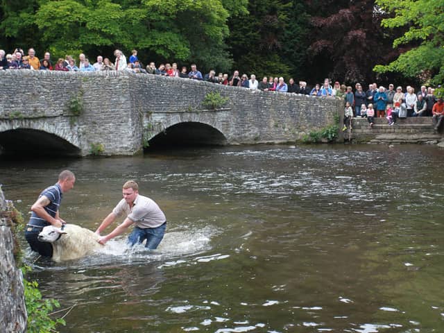 Sheep wash demonstration at the Sheepwash Bridge.