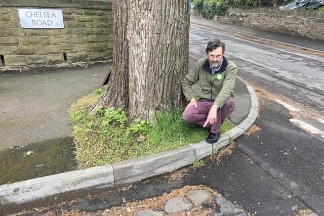 Green party member Graham Wroe at the famous Chelsea Elm tree at the  junction of Chelsea Road and Union Road.