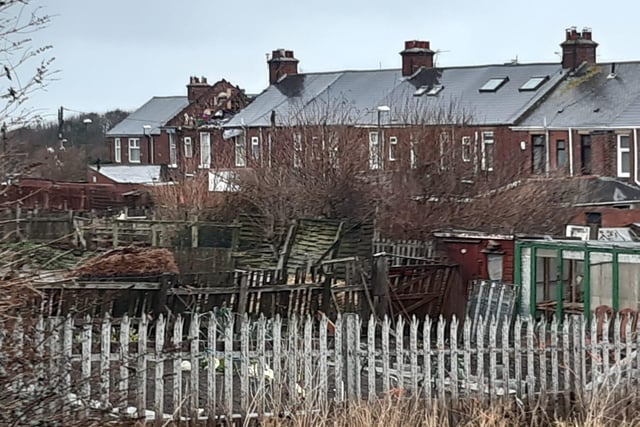 Damage to the allotments