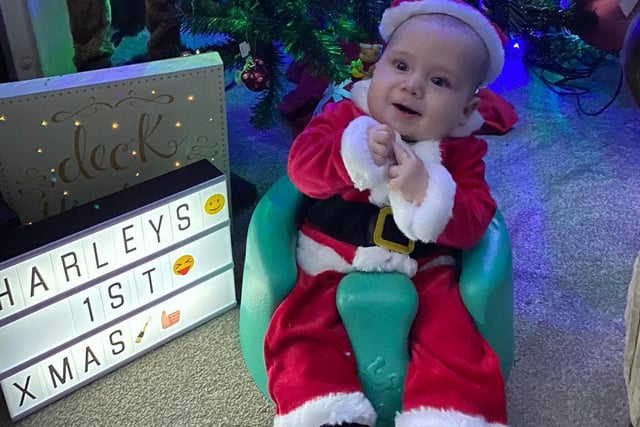 Harley is five months old. The sweetest Santa we ever did see!