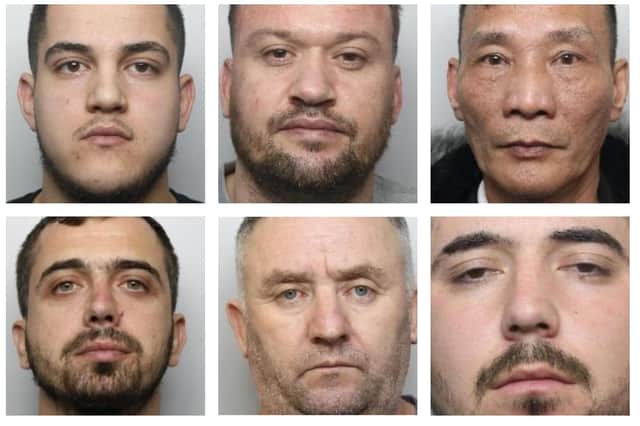 Desperate illegal immigrants are being jailed for producing cannabis at South Yorkshire drug harvests
