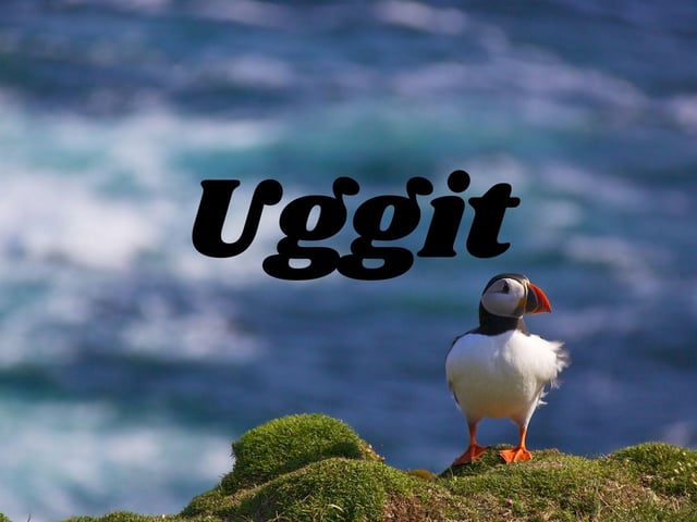 We hope this quiz didn't make you uggit.