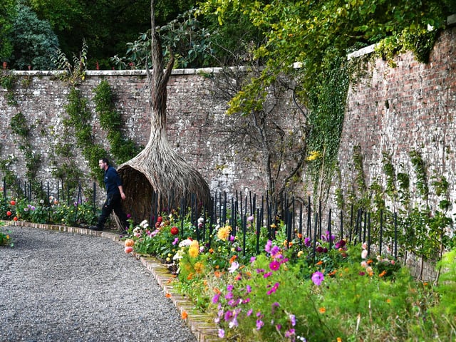 Ailsa onion sculpture in the Walled Garden at Culzean
The walled garden at Culzean Castle is home to three new willow sculptures. The sculptures celebrate the garden as a productive space that generates a wide variety of fruit and vegetables, which are both sold and used in the café on the estate