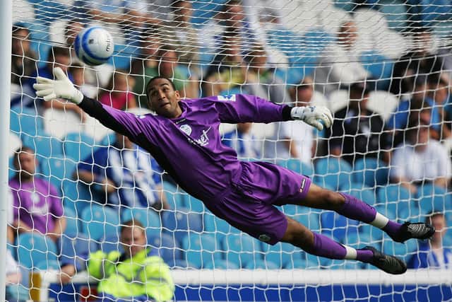 Lee Grant made 145 appearances between the sticks for Sheffield Wednesday.