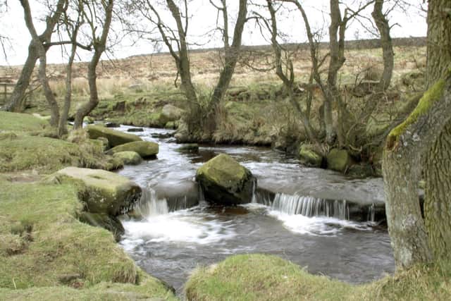 What could be more relaxing than a picnic at Padley Gorge by this lovely river in the heart of the Longshaw estate which boasts babbling brooks and cascading waterfalls?