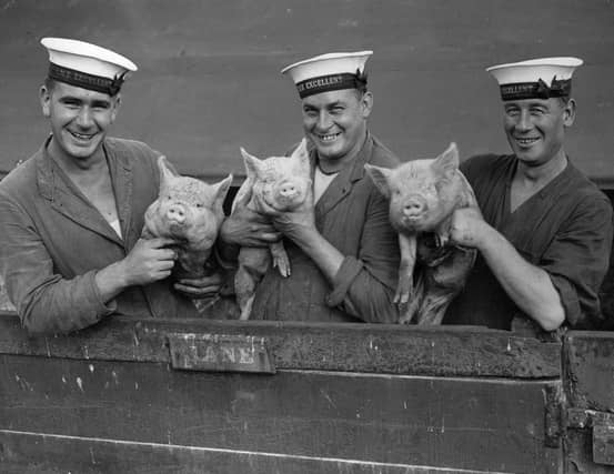 26th September 1933: Three Royal Navy sailors from H M S Excellent holding a pig at Whale Island, Portsmouth. (Photo by Fox Photos/Getty Images)