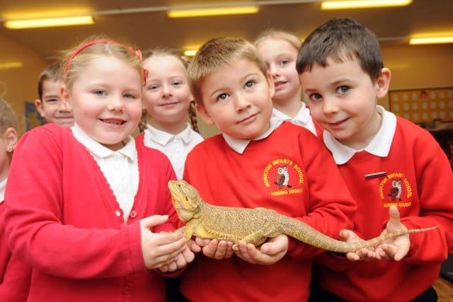 Exotic creatures at Monkton Infant School. Does this bring back memories from 2014.