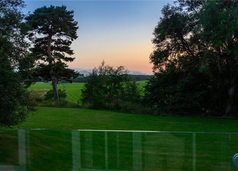 View from house at dusk.