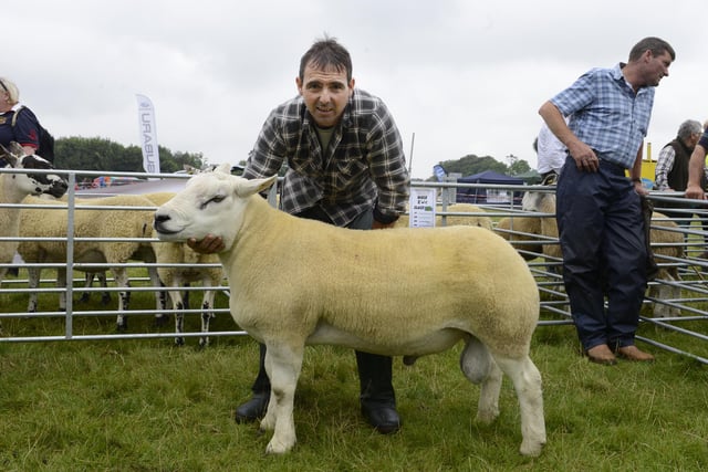 Overall champion in 2014 was this Texel shown by Kevin Young of Flotterton.