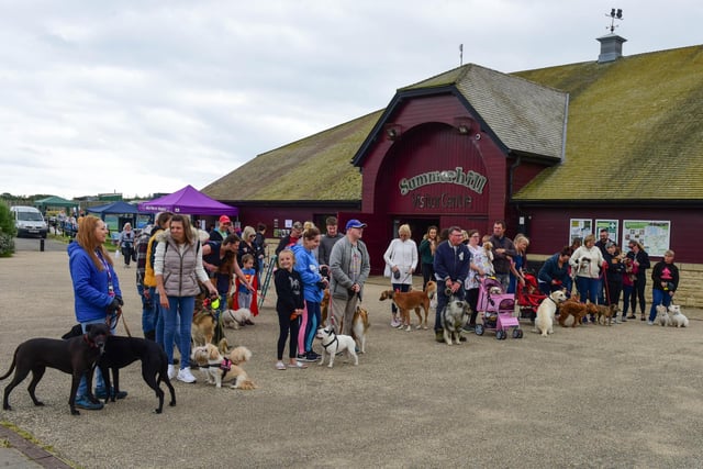 Setting off on the dog walk at the Alice House Hospice Dogs' Big Day Out, at Summerhill in 2019. Remember this?