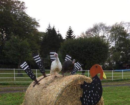 The farm is famous for its turkeys modelled from a large hay bale.