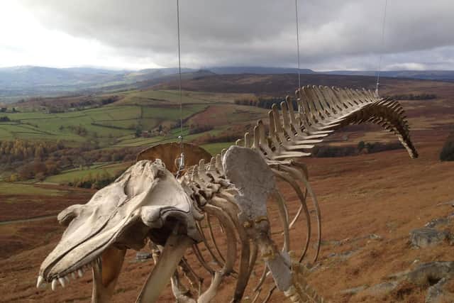 Dave has also installed the skeleton in Stanage Edge in the Peak District.