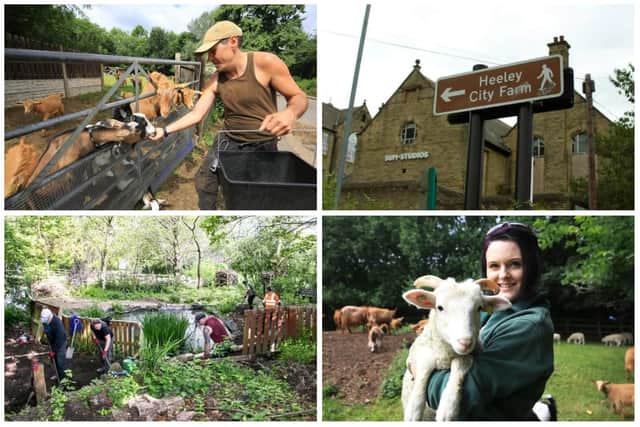 The cafe at Heeley City Farm in Sheffield has been saved.