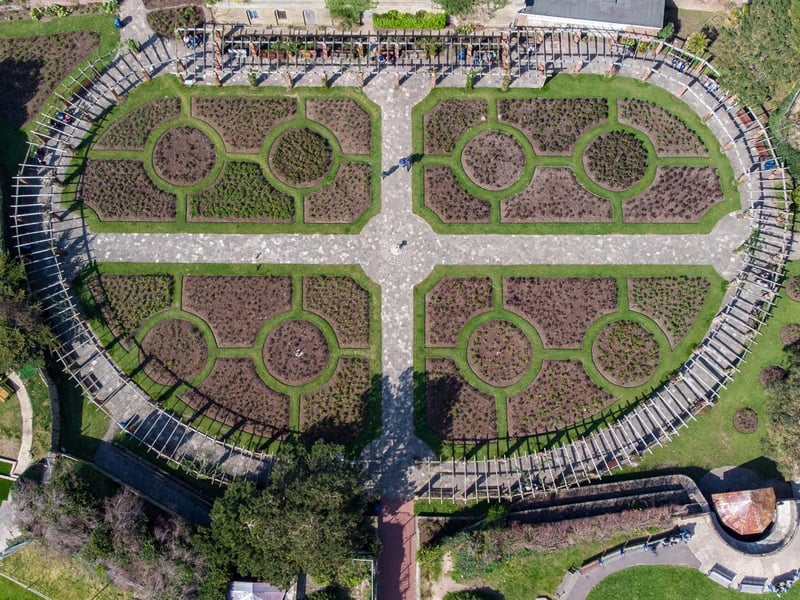 What a great view of the flowerbed patterns