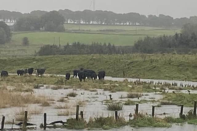 Storm Babet and Storm Ciaran have caused significant flooding in areas along Scotland's east coast 