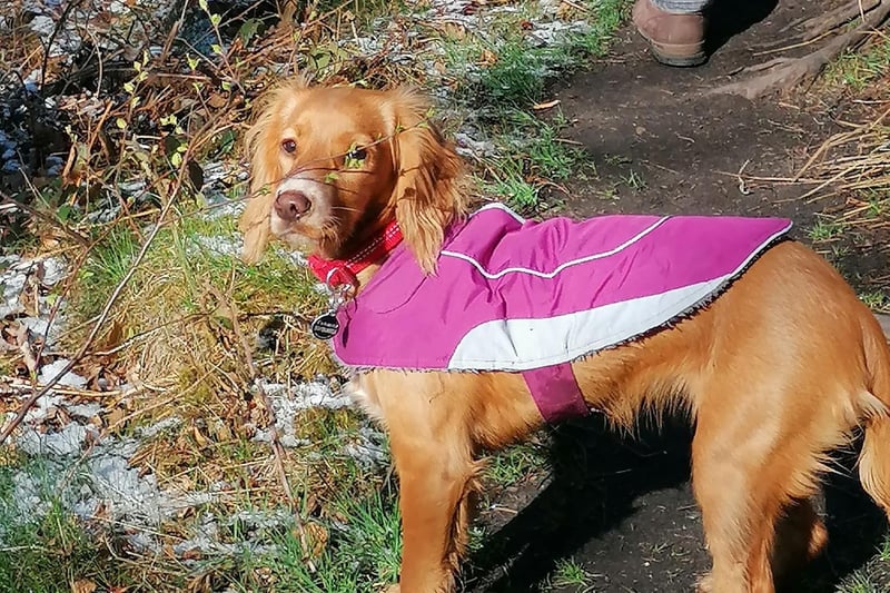 We think six-month-old Sally looks a treat in her pink coat!