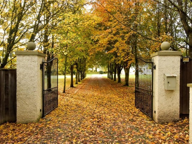 Entrance gate and driveway.