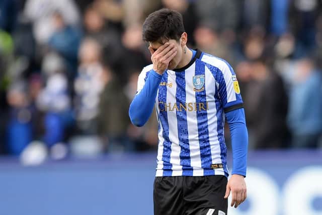 Fernando Forestieri's Sheffield Wednesday contract is up at the end of June