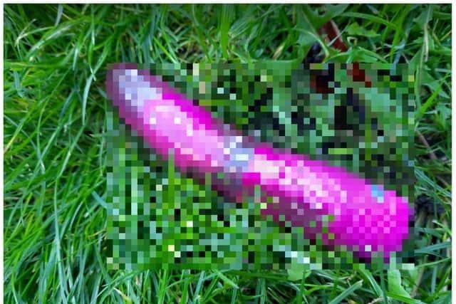 A Doncaster mum was horrified at what her daughter found in a park - a discarded sex toy